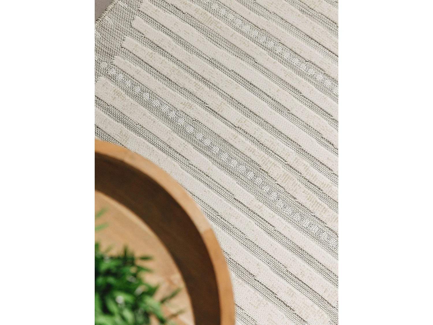 Tapis d'extérieur & intérieur Flora Beige 80x250 cm