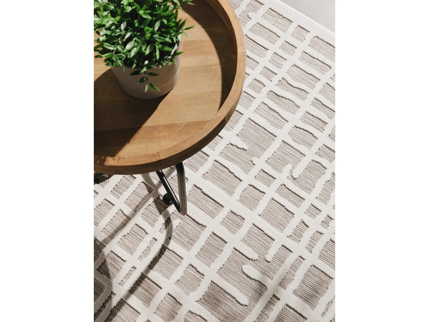 Tapis d'extérieur & intérieur Flora Beige 240x350 cm