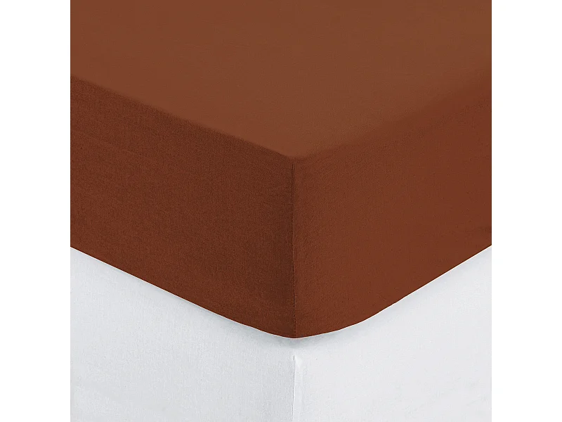 Drap housse 1 Personne en Coton Terracotta 90 x 190 cm