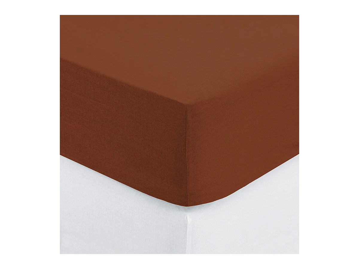 Drap housse 1 Personne en Coton Terracotta 90 x 190 cm