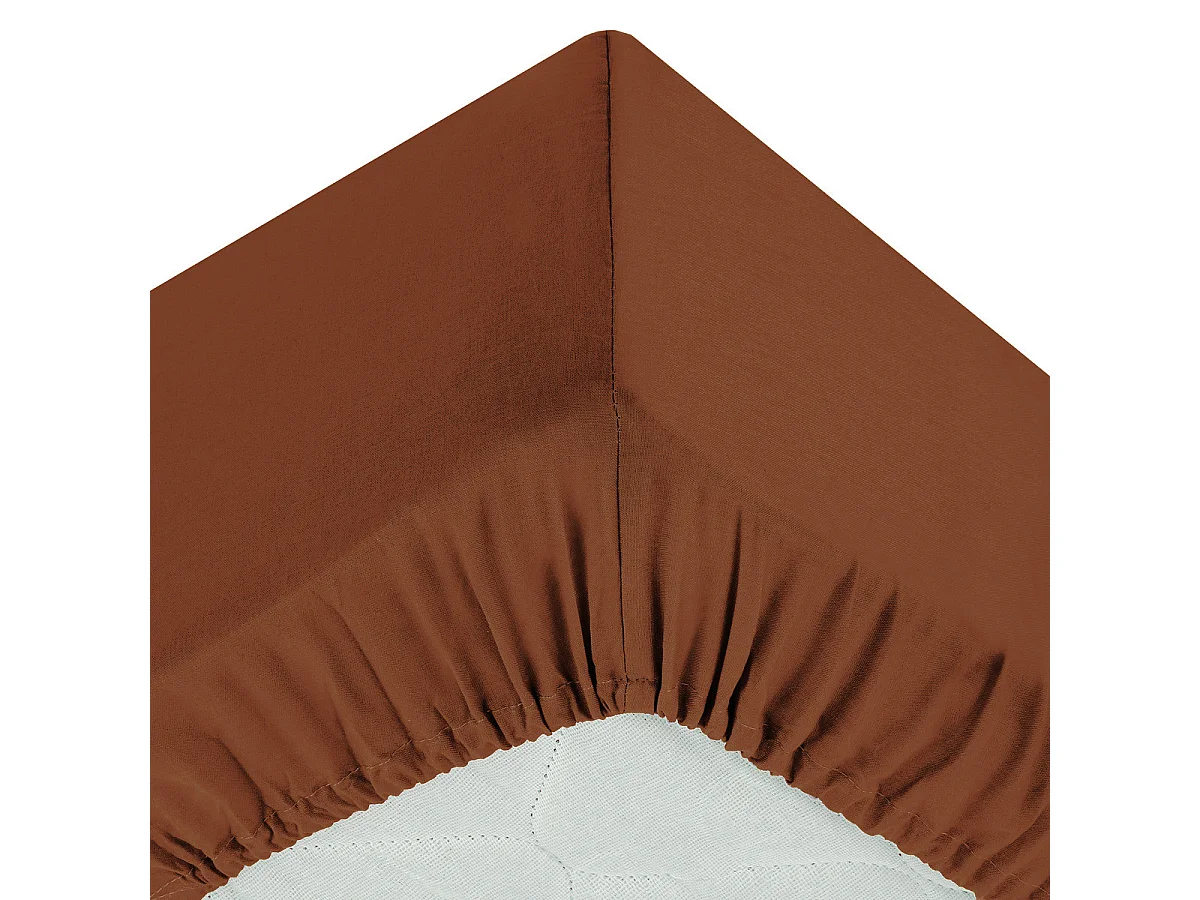 Drap housse 2 Personnes en Coton Terracotta 160 x 200 cm