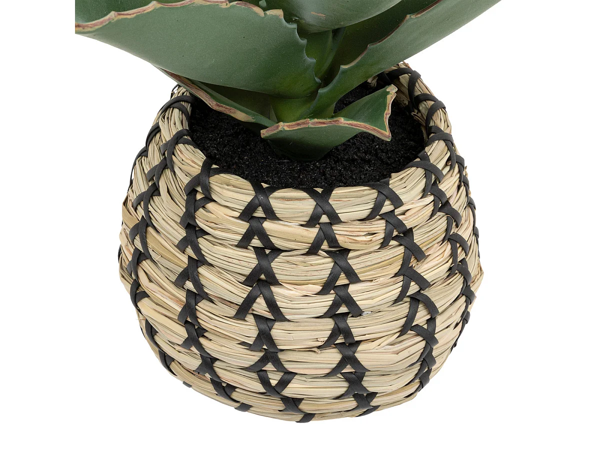 Plante artificielle Samouraï dans un pot tressé à la main H 26 cm