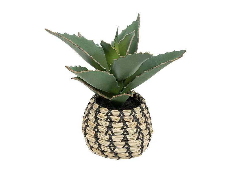 Plante artificielle Samouraï dans un pot tressé à la main H 26 cm
