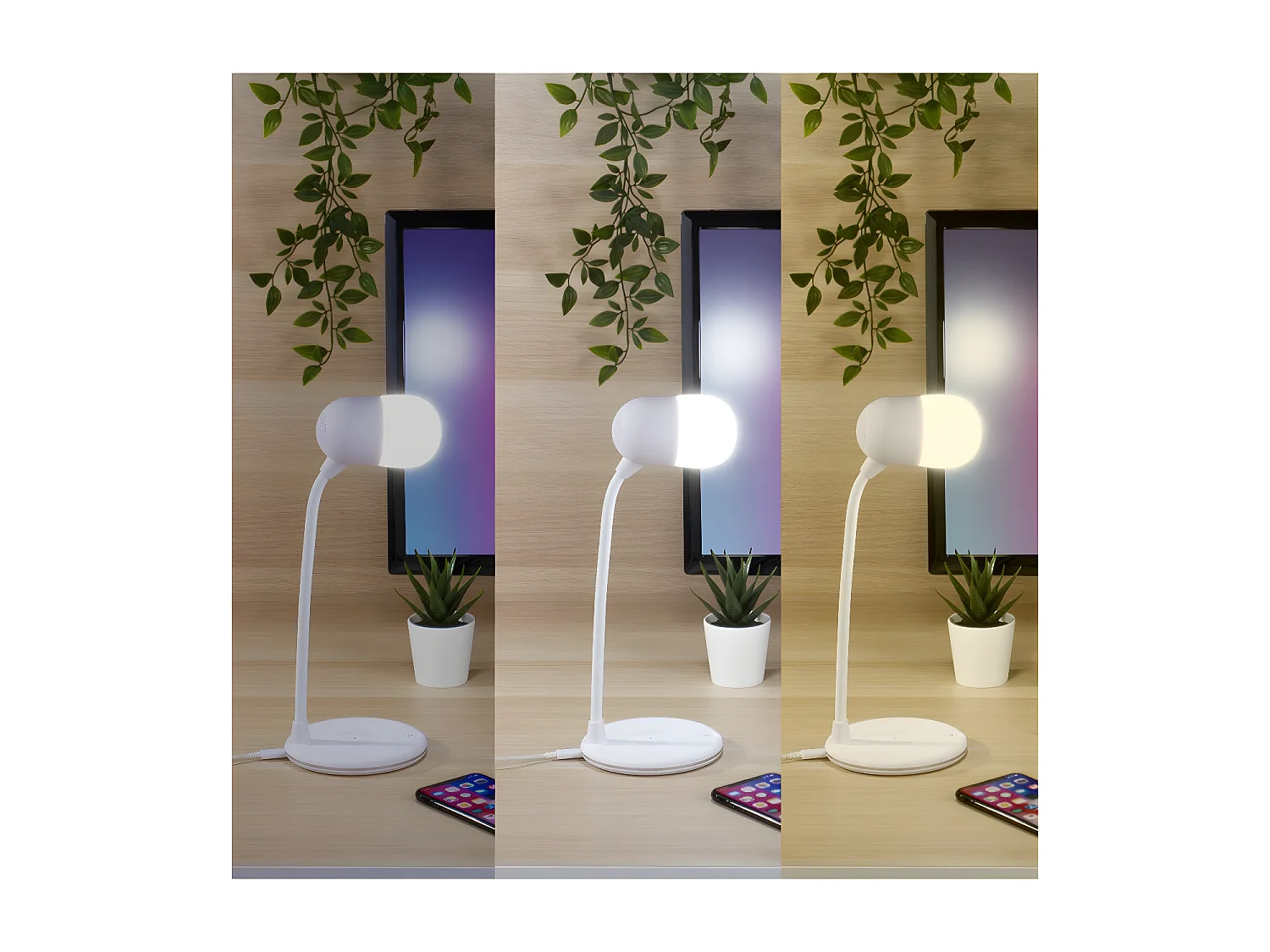 Lampe de bureau LED 3 en 1 MIKRO