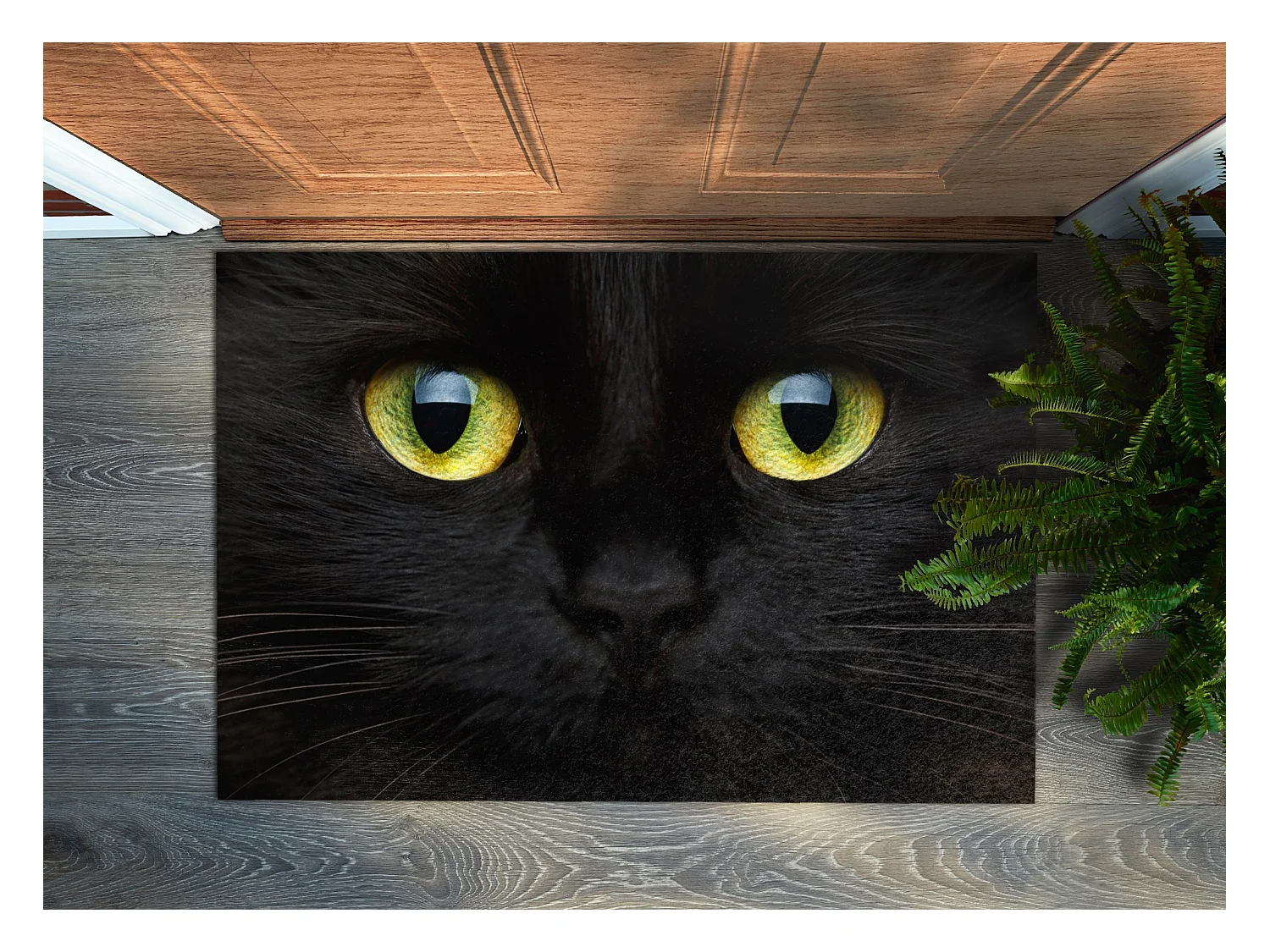 Weiche Fußmatte für den Innenbereich – modernes Design, 150 x 100 cm – schwarze Katze