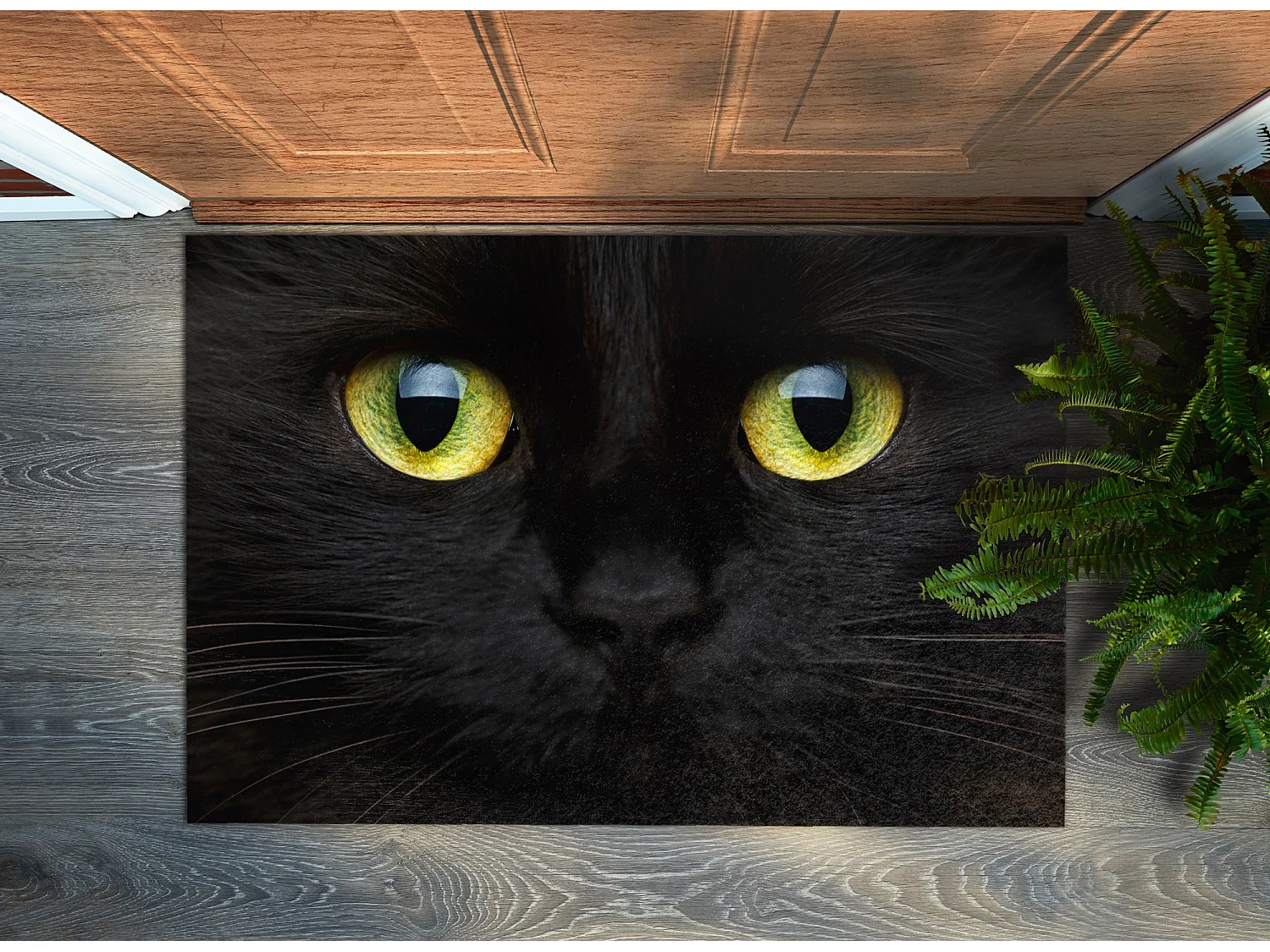 Weiche Fußmatte für den Innenbereich – modernes Design, 60 x 40 cm – schwarze Katze