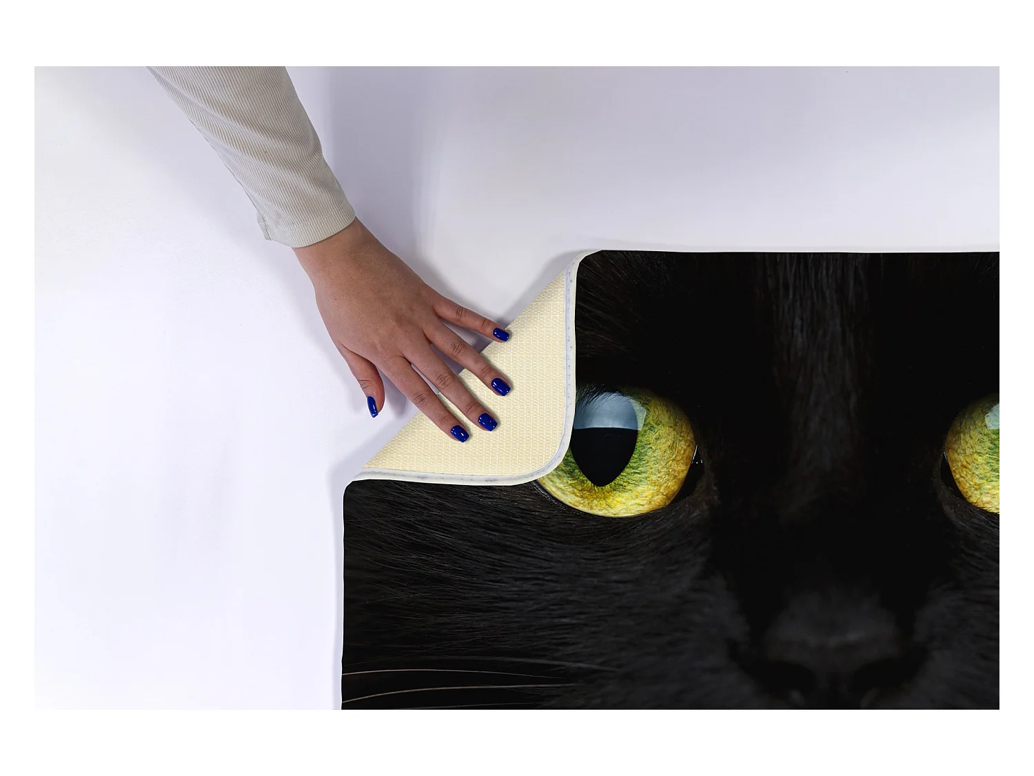 Tapis de salle de bain moderne 75x45 cm - Tapis de salle de bain confortable Chat noir mignon