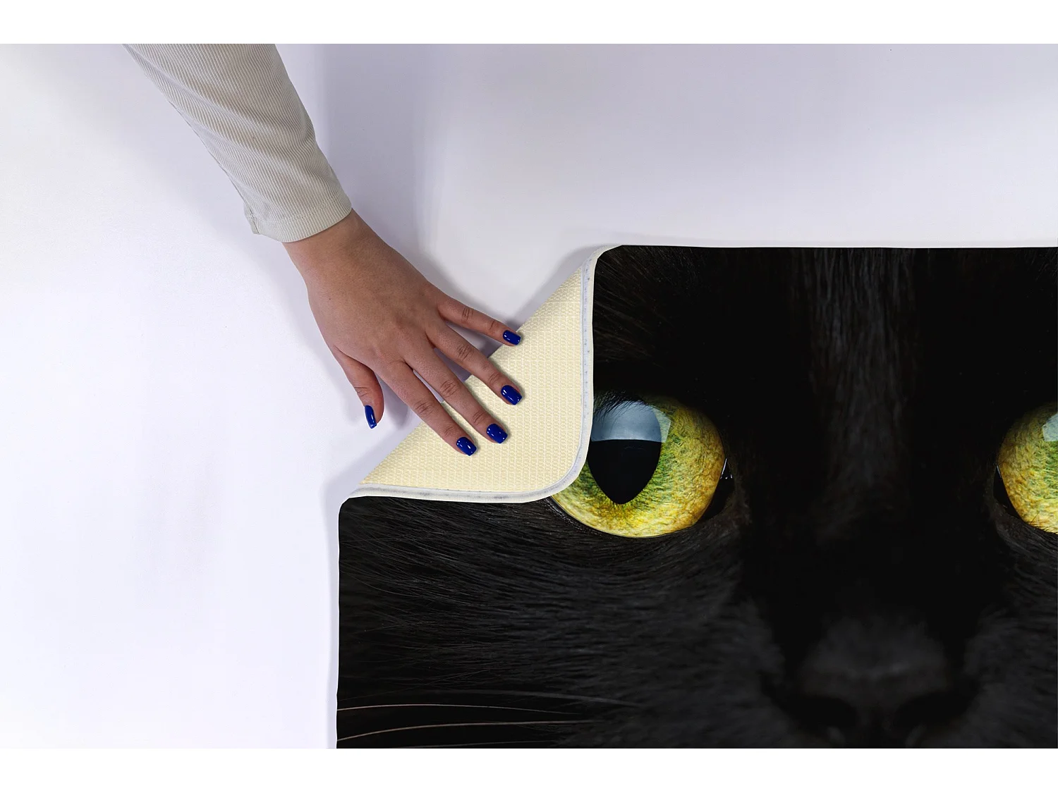 Tapis de salle de bain moderne 75x45 cm - Tapis de salle de bain confortable Chat noir mignon