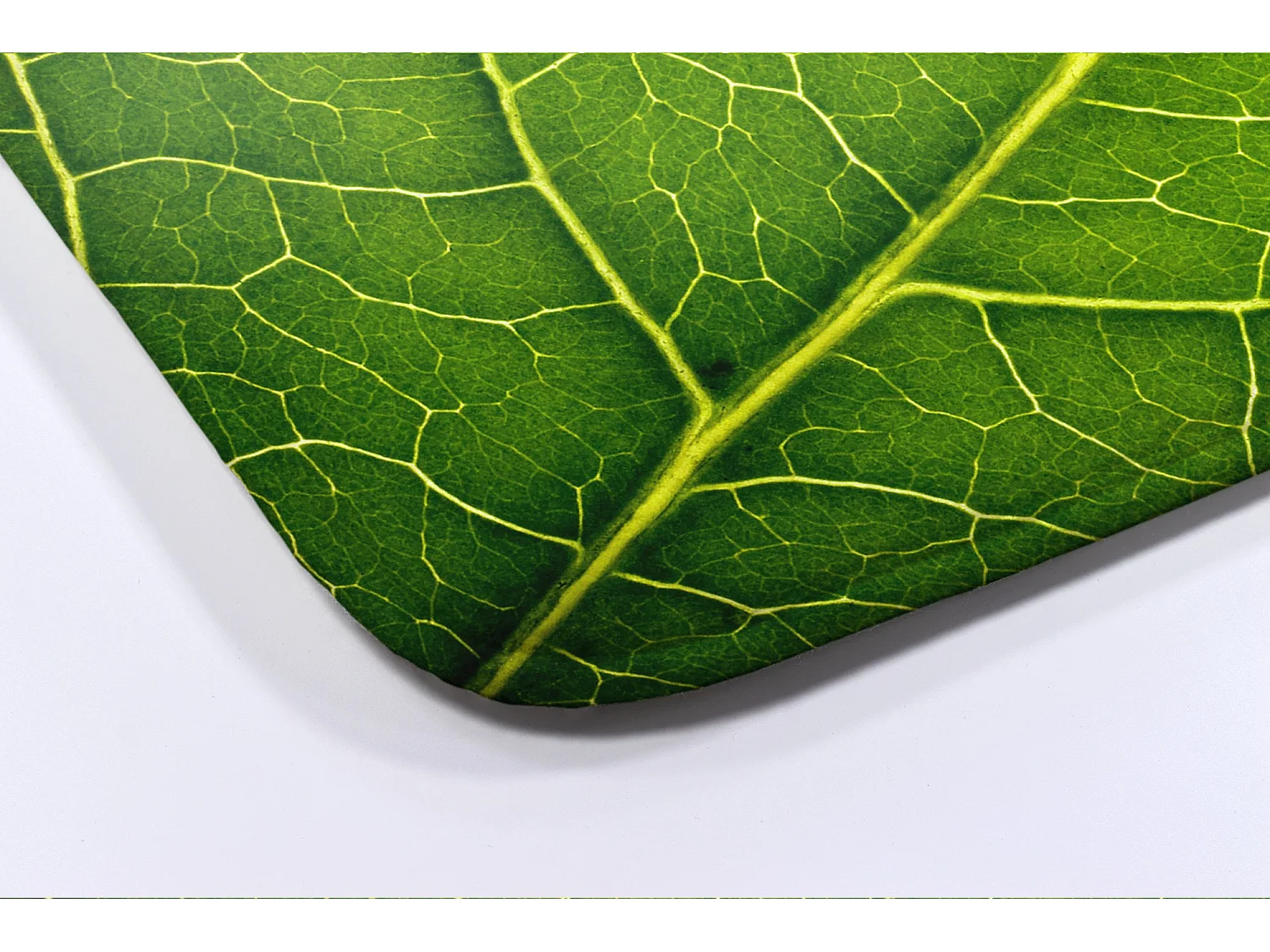 Tapis de salle de bain de luxe 90x60 cm - Tapis de bain doux Fresh Leaf