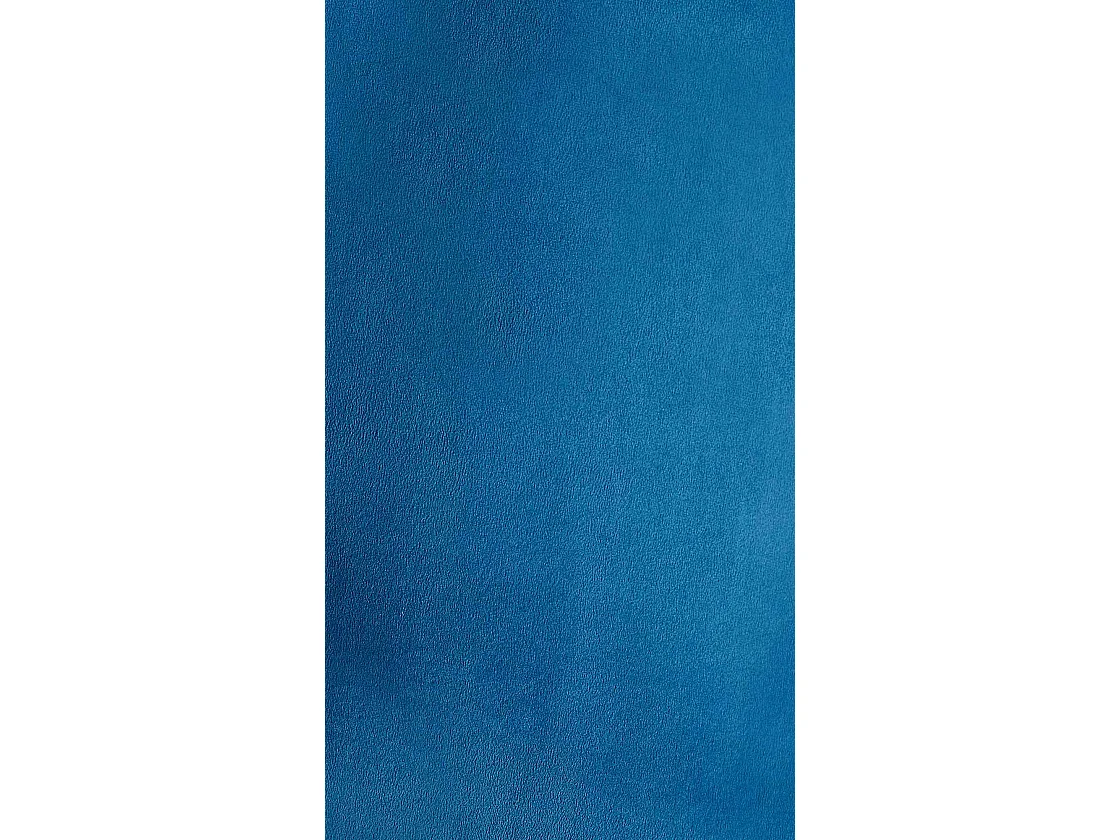 chaise salle à manger - Velours - Bleu foncé - Lewes