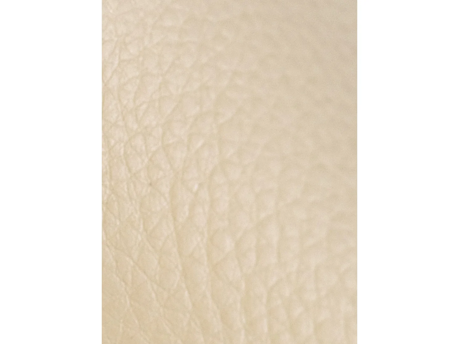 chaise salle à manger - Similicuir - Crème - Foley