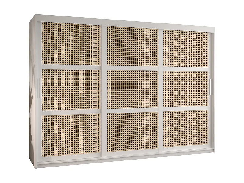 SCHWEBETÜRENSCHRANK PLECIONKA 200/250/62 3-türig (Weiß)