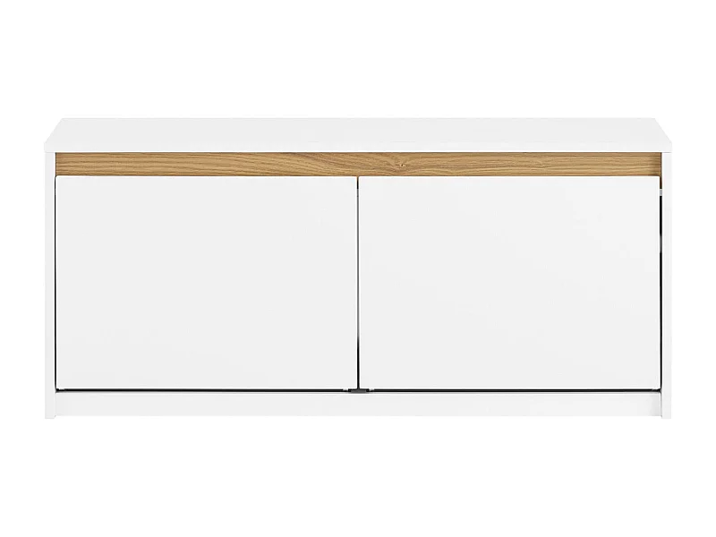 SoBuy Ławka na buty z 2 drzwiami i z pojemnikiem FSR171-W