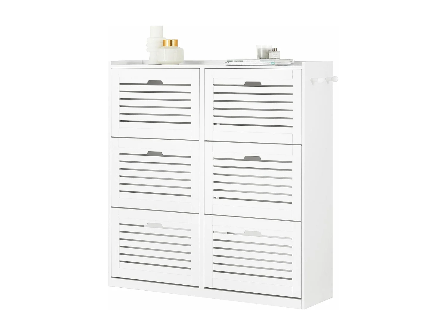 Zapatero con 6 Solapas y 2 Ganchos SoBuy FSR145-W