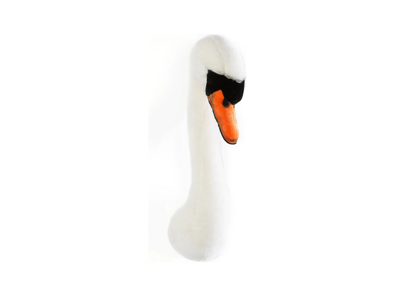Peluche trophée Cygne Joanna collection Aquatique