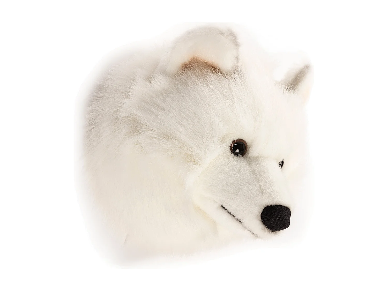Peluche trophée Loup blanc Lucy collection Polaire