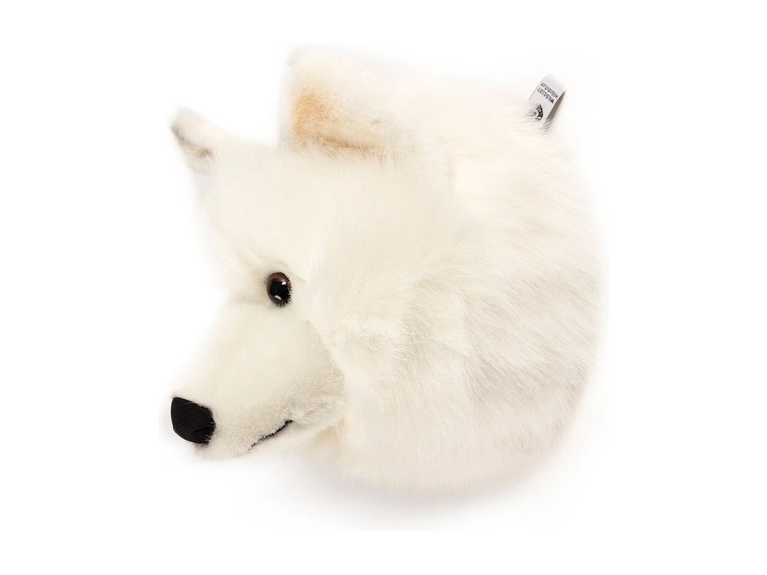 Peluche trophée Loup blanc Lucy collection Polaire