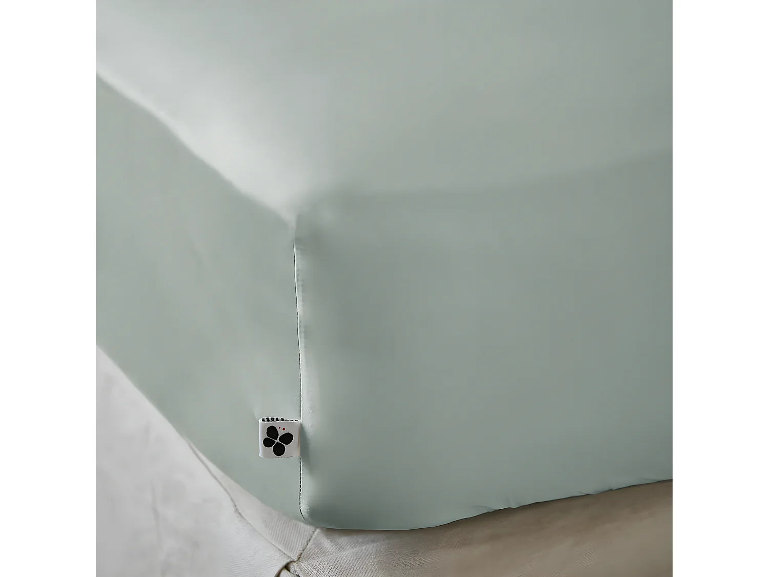 DALIA - Drap Housse 160x200cm 100 % Viscose de Bambou Vert d'Eau