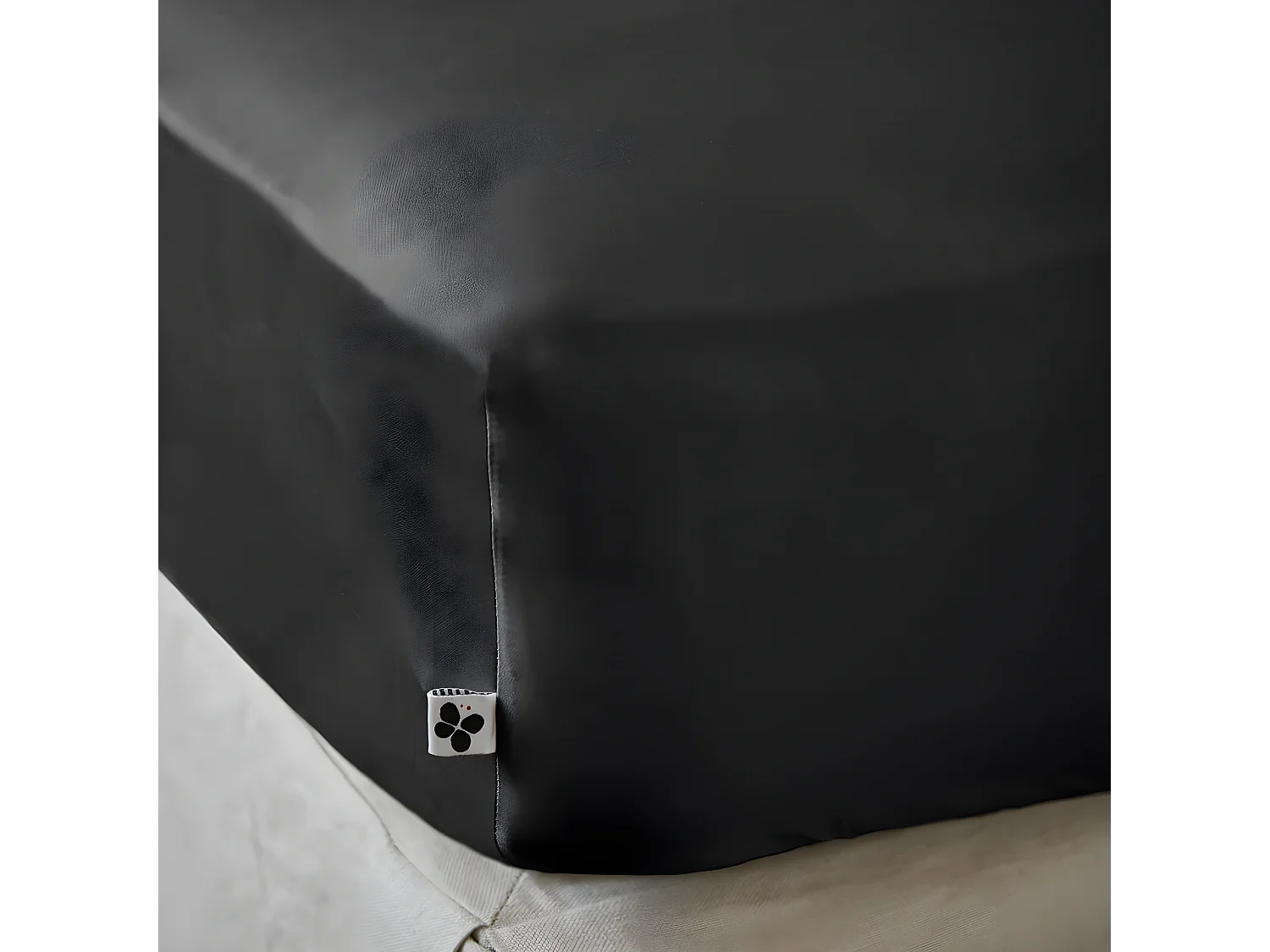 DALIA - Drap Housse 180x200cm 100 % Viscose de Bambou Noire