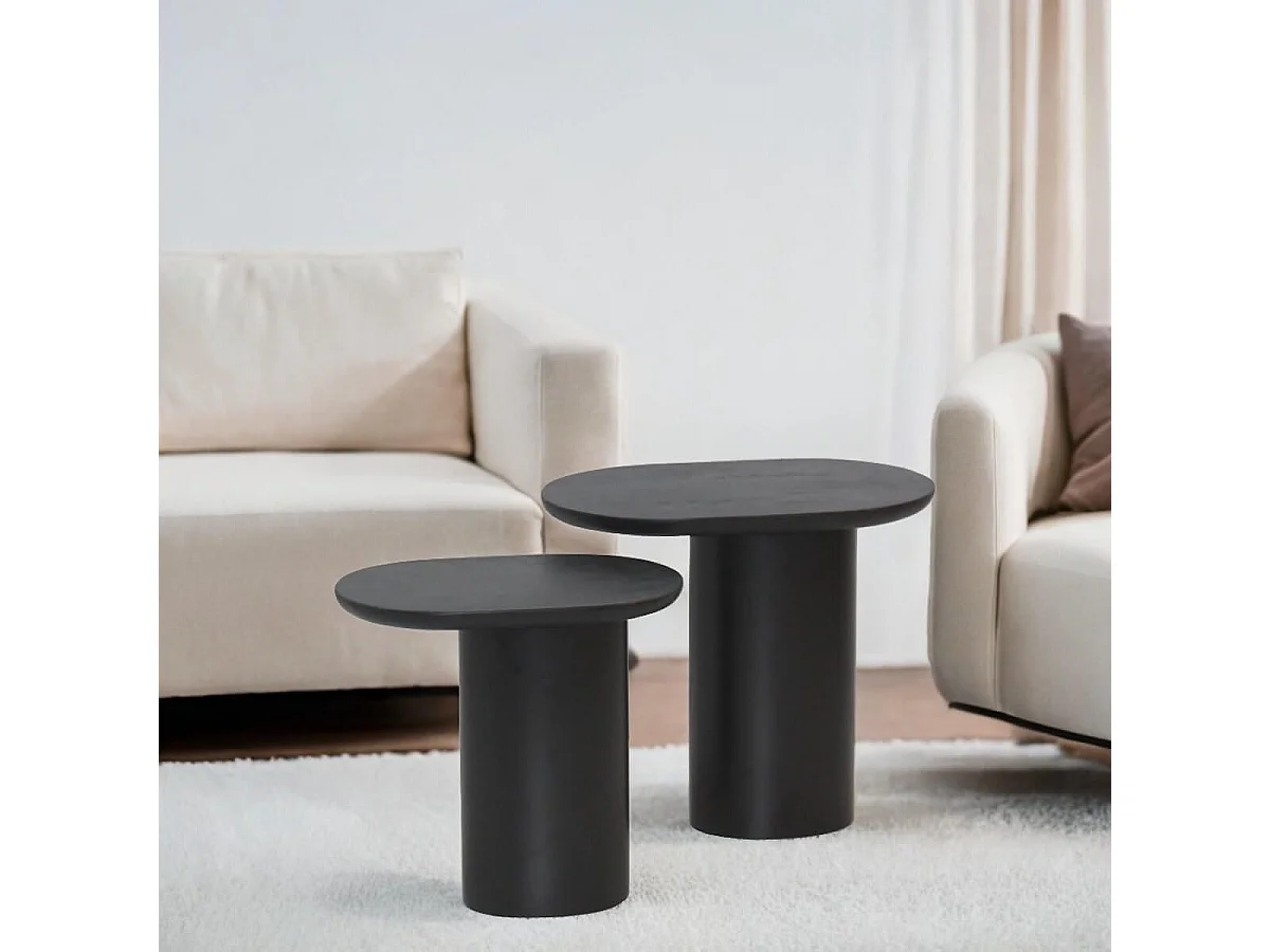 STELIAN - Lot de 2 Tables Basses Plateaux en Manguier teinté Noir Pieds Métal Noir