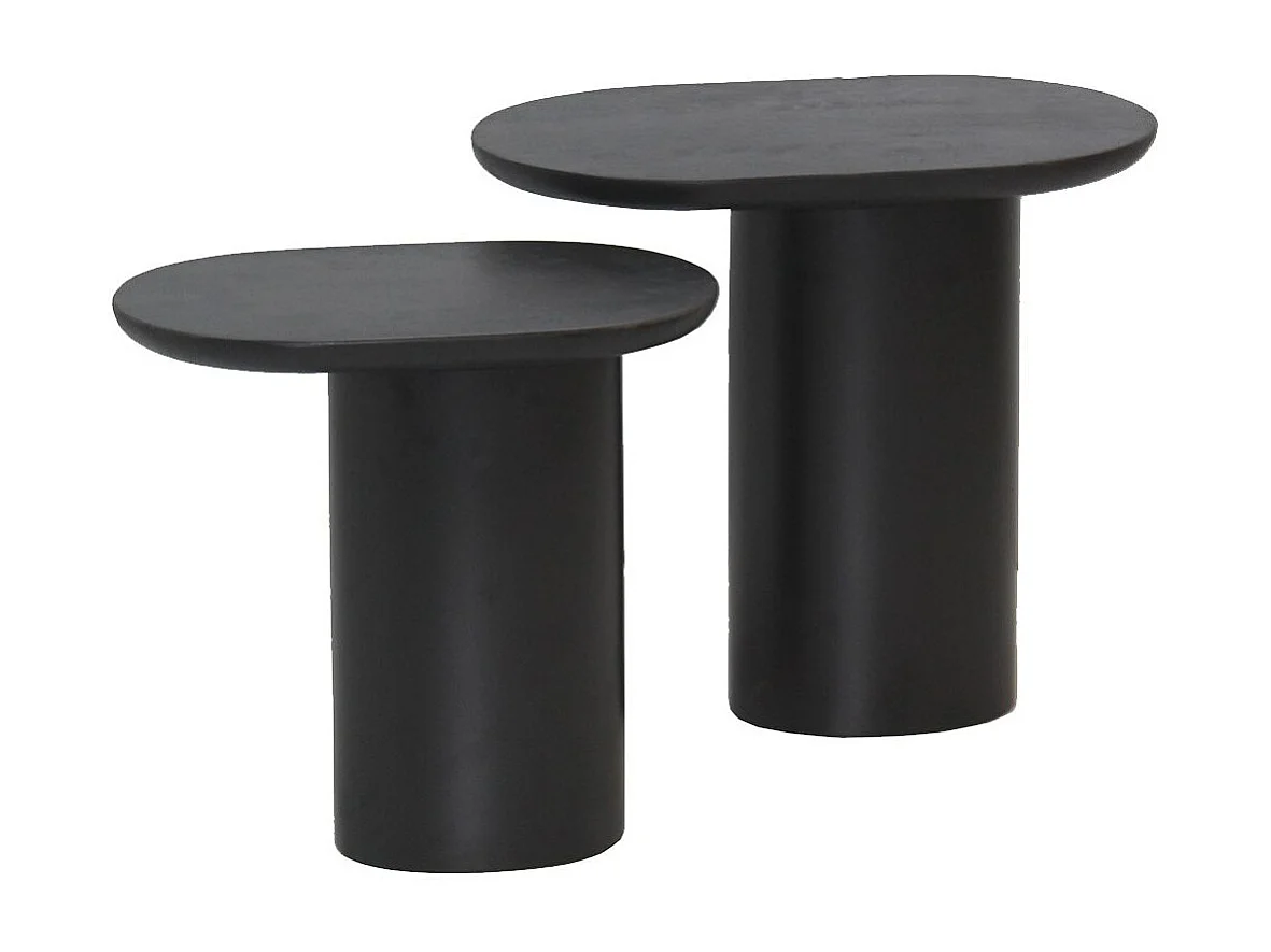STELIAN - Lot de 2 Tables Basses Plateaux en Manguier teinté Noir Pieds Métal Noir