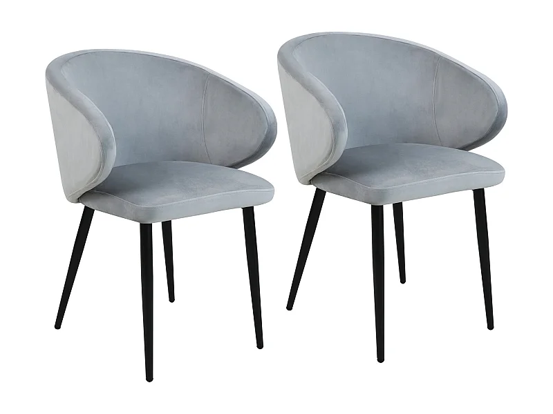 Lot de 2 chaises de salle à manger