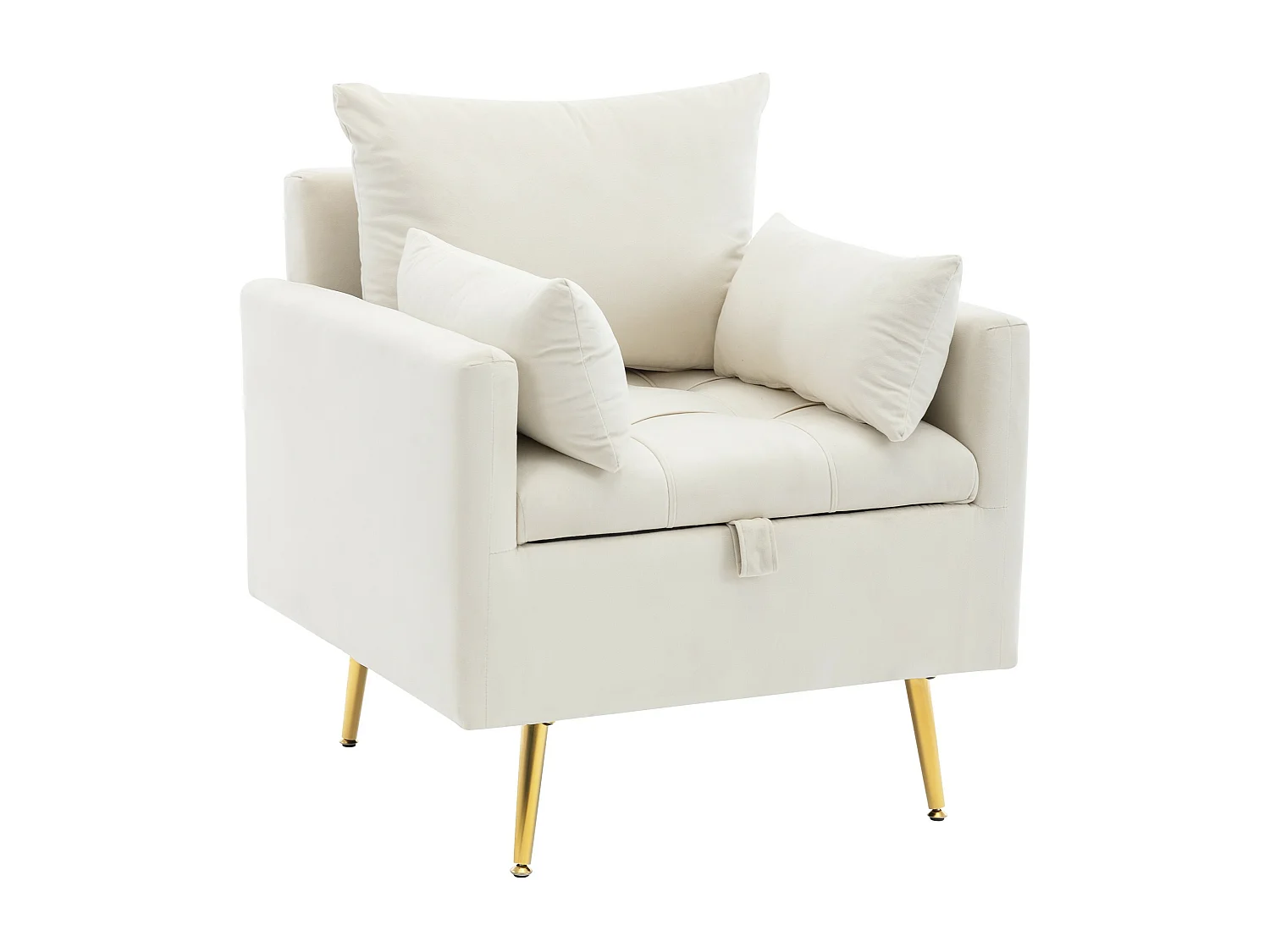 Sedia, poltrona e pouf moderni e minimalisti in velluto con contenitore, cuscini decorativi e gambe in metallo color oro