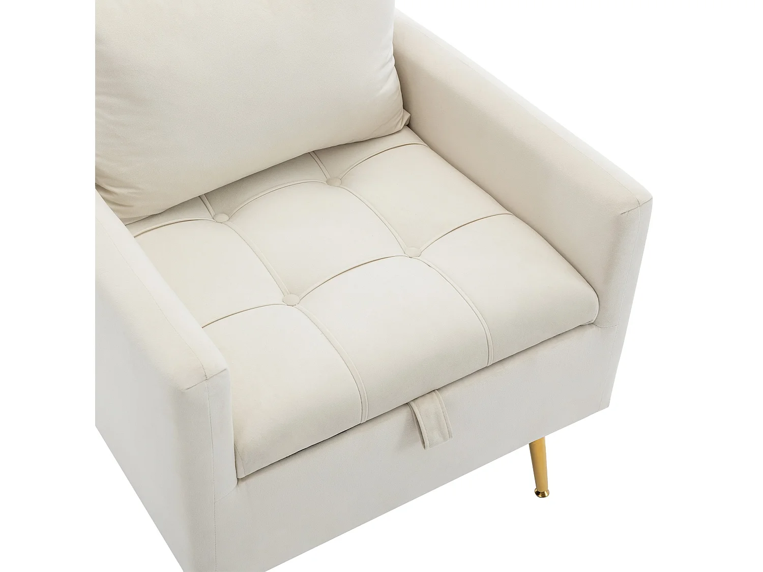 Sedia, poltrona e pouf moderni e minimalisti in velluto con contenitore, cuscini decorativi e gambe in metallo color oro