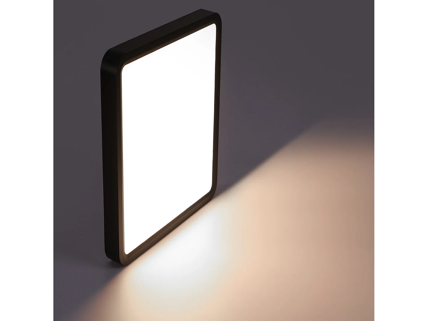 NETTLIFE Plafondlamp - LED - Ø 23 cm - Zwart plafonniére - 18W - neutraal wit licht - rechthoek