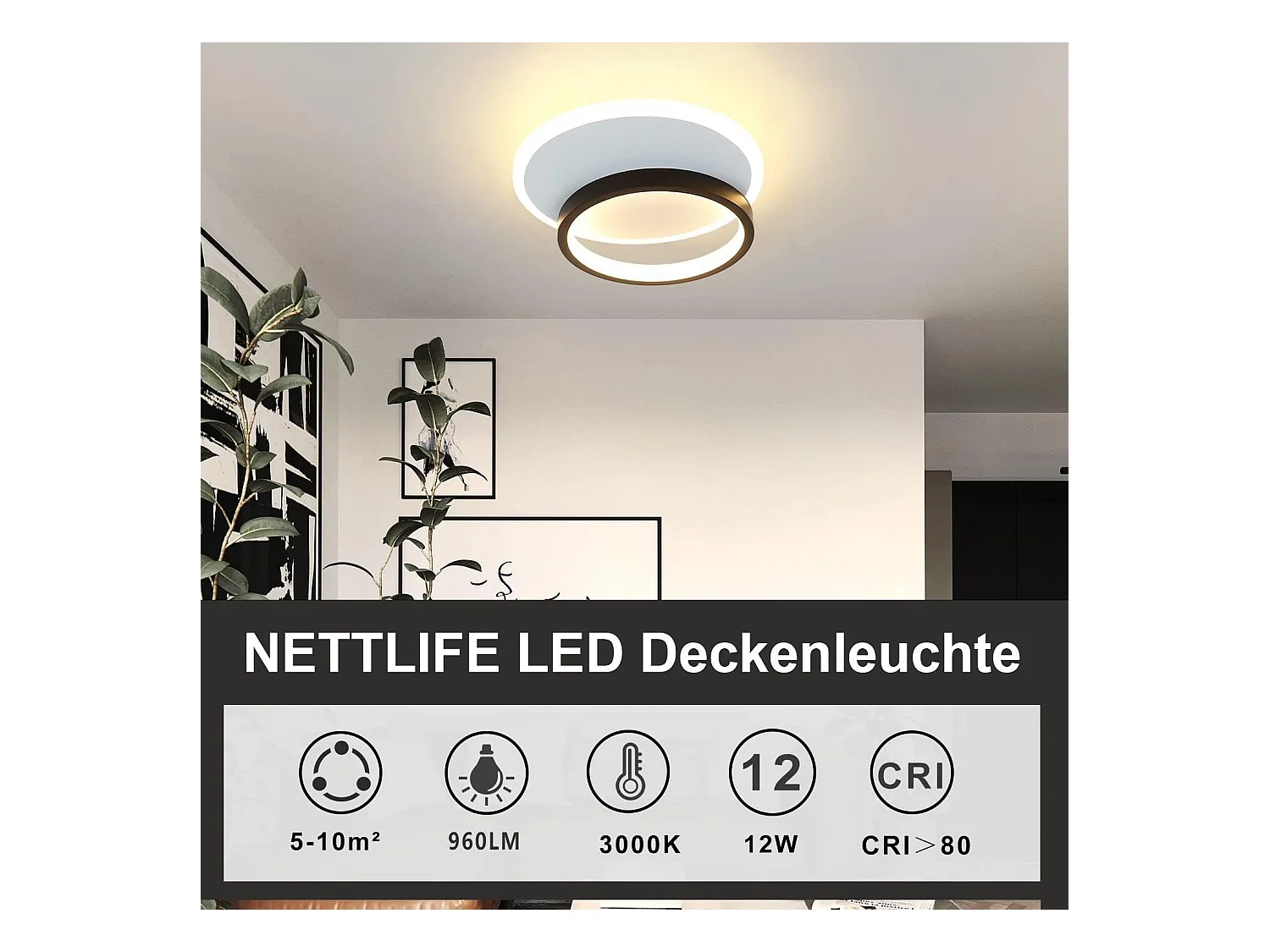 NETTLIFE Plafondlamp LED - rond - Wit en Zwart - 24.5cm - 2-Lichts - 3000K Warm Wit Licht - Moderne Slaapkamerverlichting - voor Keuken | Woonkamer | Hotel - 22W