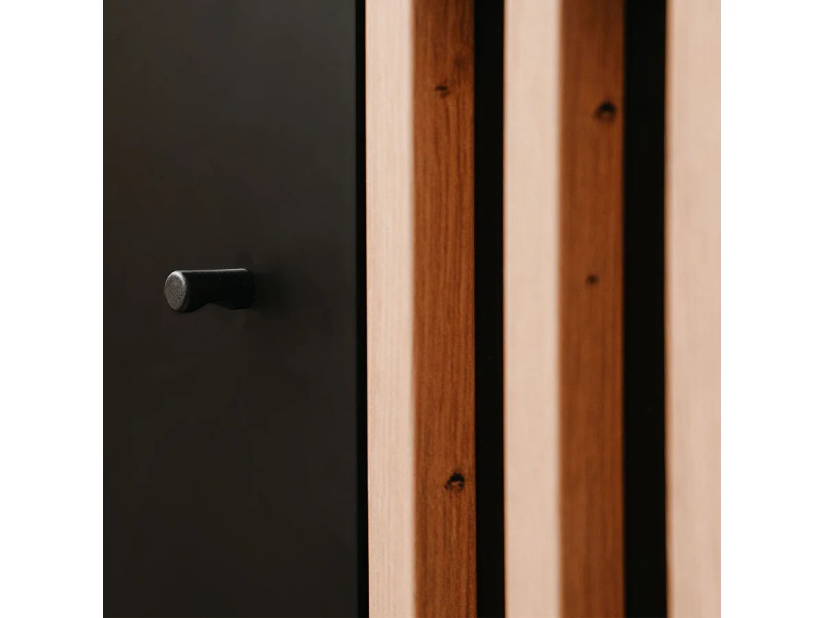 Meuble TV 1 Porte et 2 Tiroirs  Noir et Bois L138 cm - MONZA