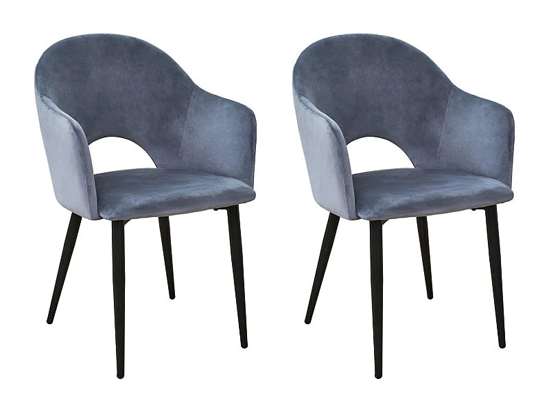 Lot de 2 chaises de salle à manger