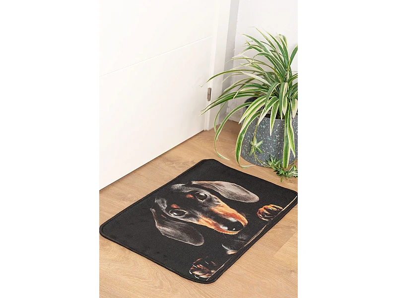 Alfombras - Alfombra Eril