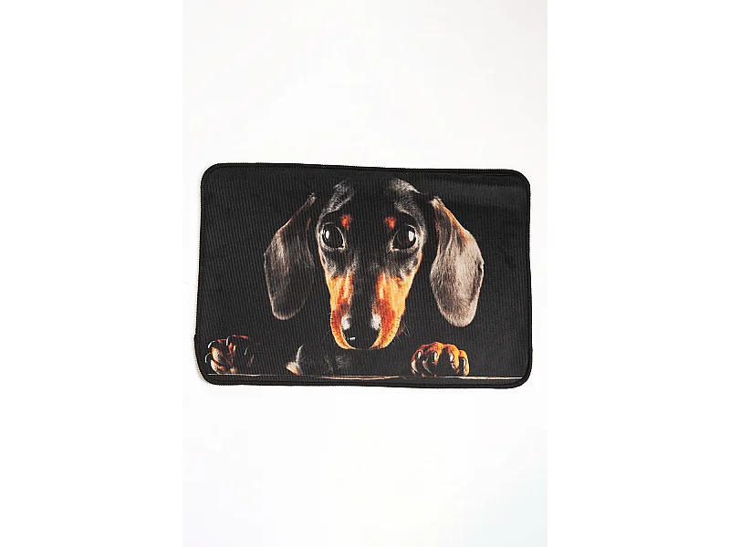 Alfombras - Alfombra Eril