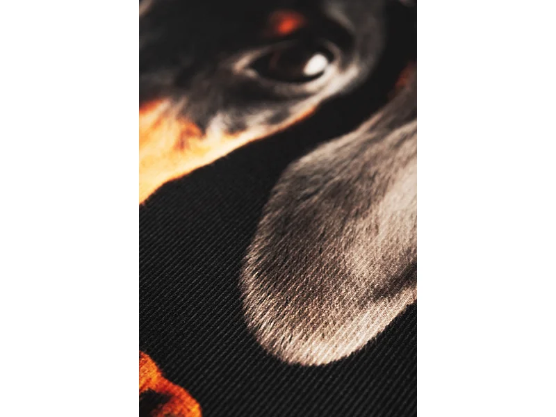 Alfombras - Alfombra Eril