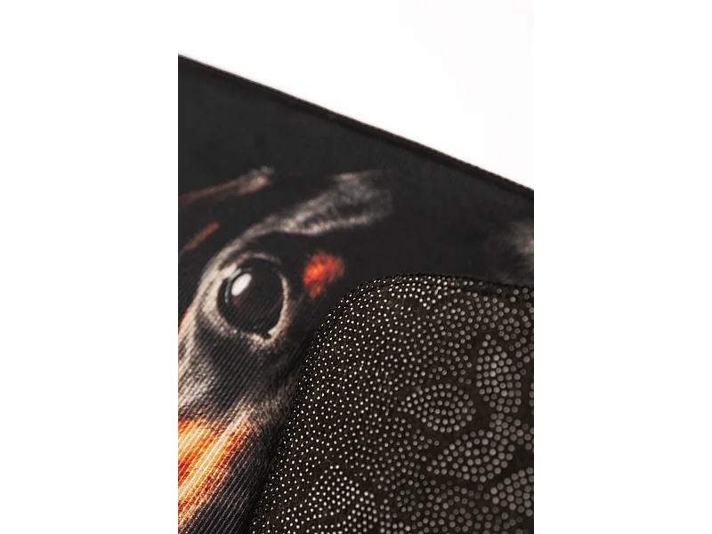 Alfombras - Alfombra Eril