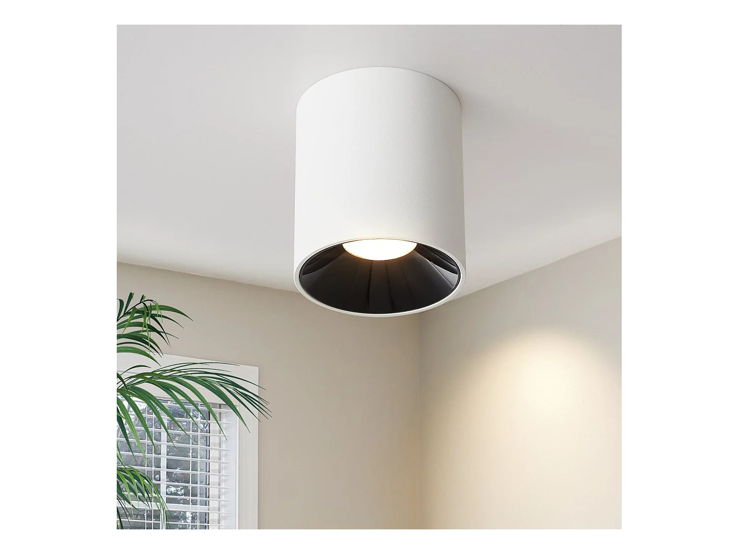 NETTLIFE Opbouwspot LED 1-Lichts cilinder wit 7W Moderne Plafondlamp 3000K Warm Wit Licht Metaal Plafondspot voor Keuken | Slaapkamer | Hal | WoonkamerL 5.5cm