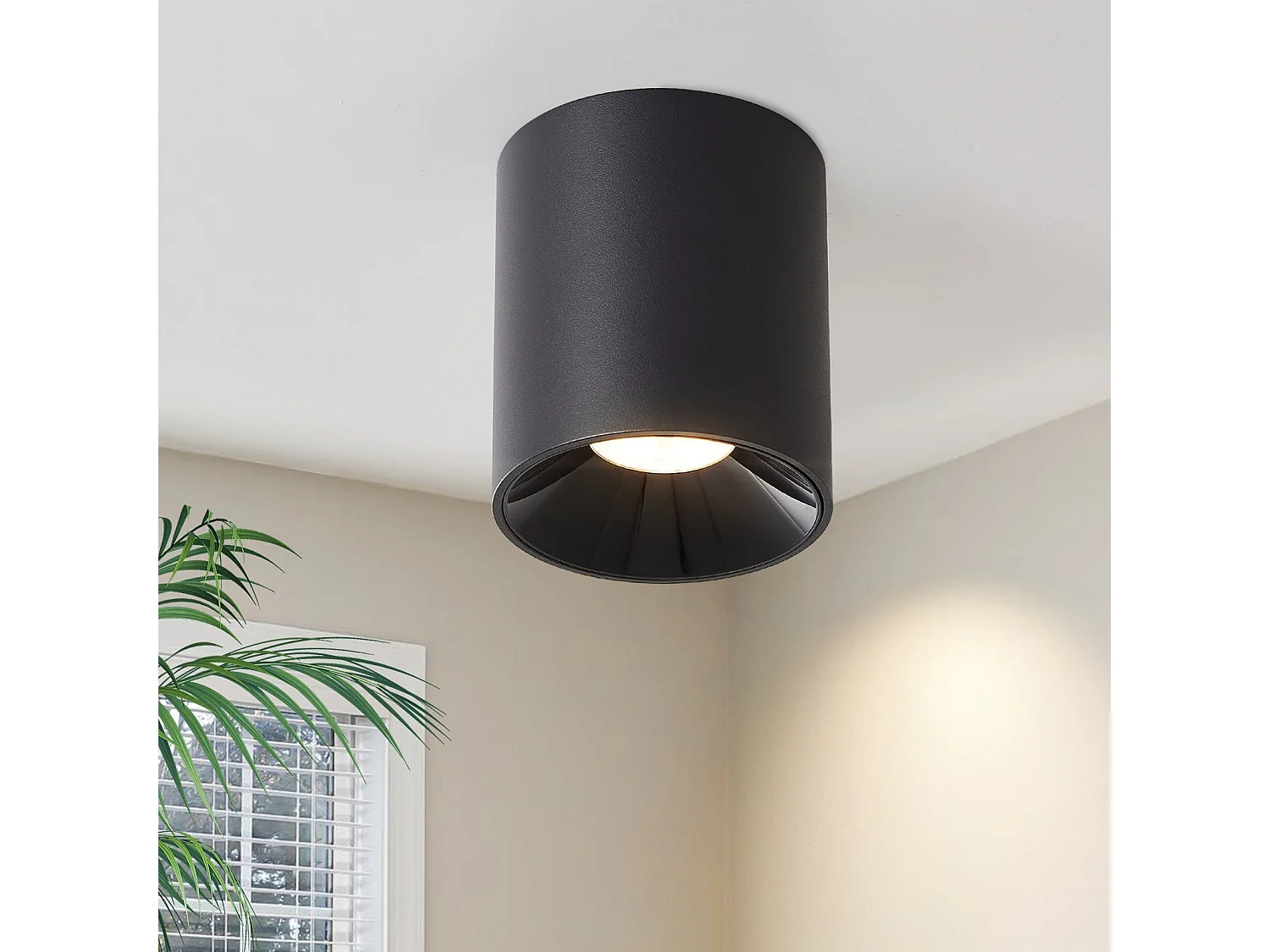 NETTLIFE Opbouwspot LED 1-Lichts cilinder zwart 7W Moderne Plafondlamp 3000K Warm Wit Licht Metaal Plafondspot voor Keuken | Slaapkamer | Hal | WoonkamerL 5.5cm