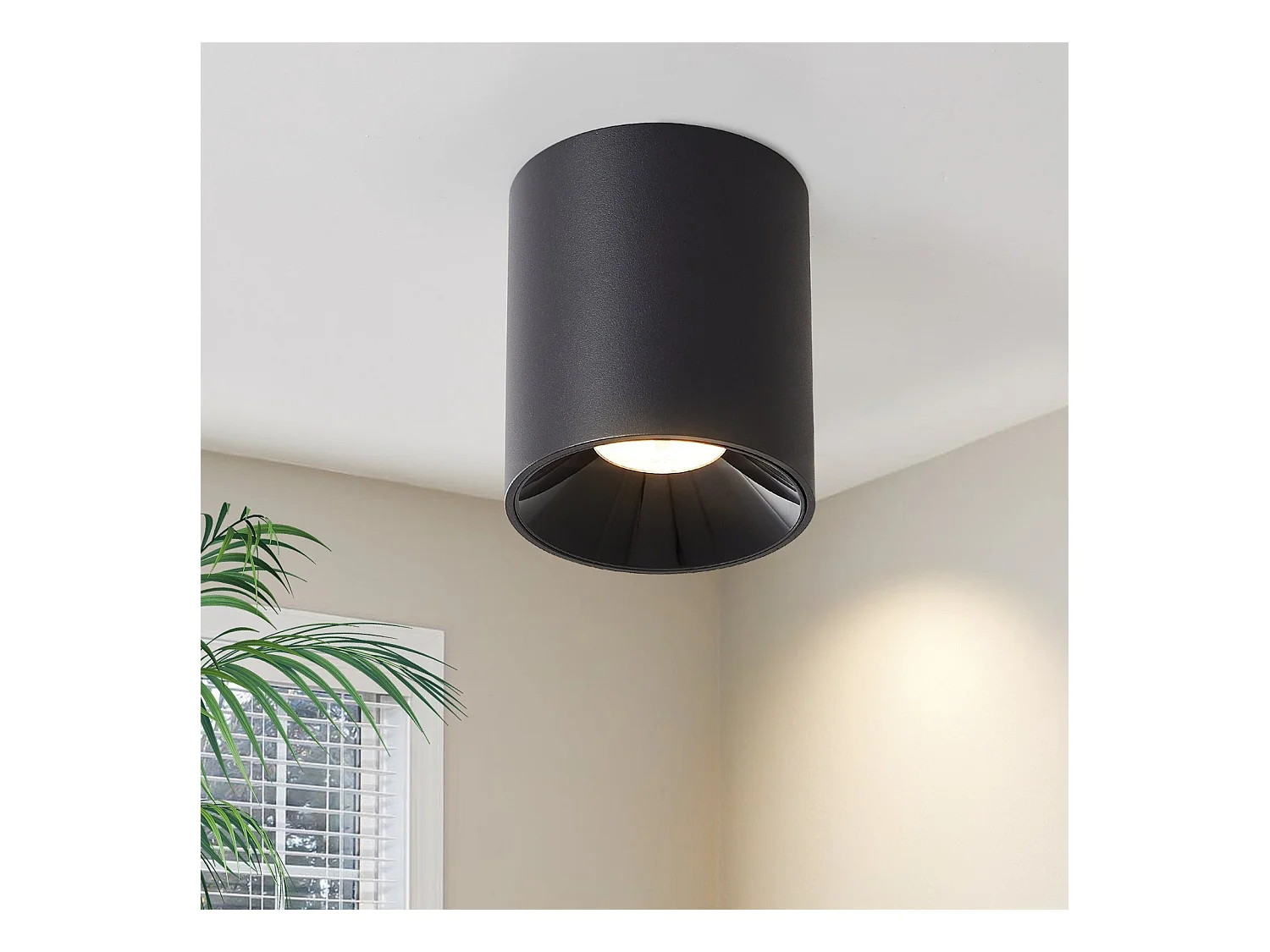 NETTLIFE Opbouwspot LED 1-Lichts cilinder zwart 7W Moderne Plafondlamp 3000K Warm Wit Licht Metaal Plafondspot voor Keuken | Slaapkamer | Hal | WoonkamerL 5.5cm