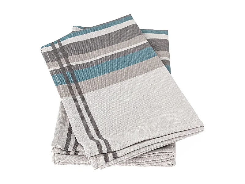 Lot de 2 torchons de cuisine 50x70cm coton CITY bleu