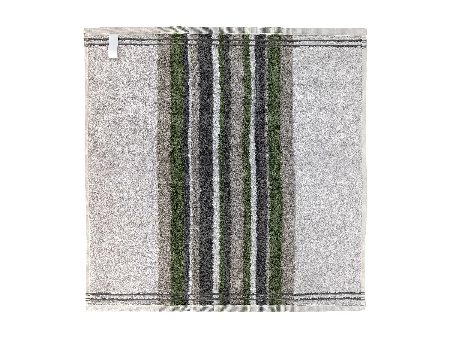 Lot de 2 torchons de cuisine 50x50cm coton CITY vert