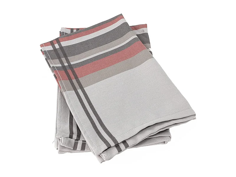 Lot de 2 torchons de cuisine 50x70cm coton CITY rouge brique