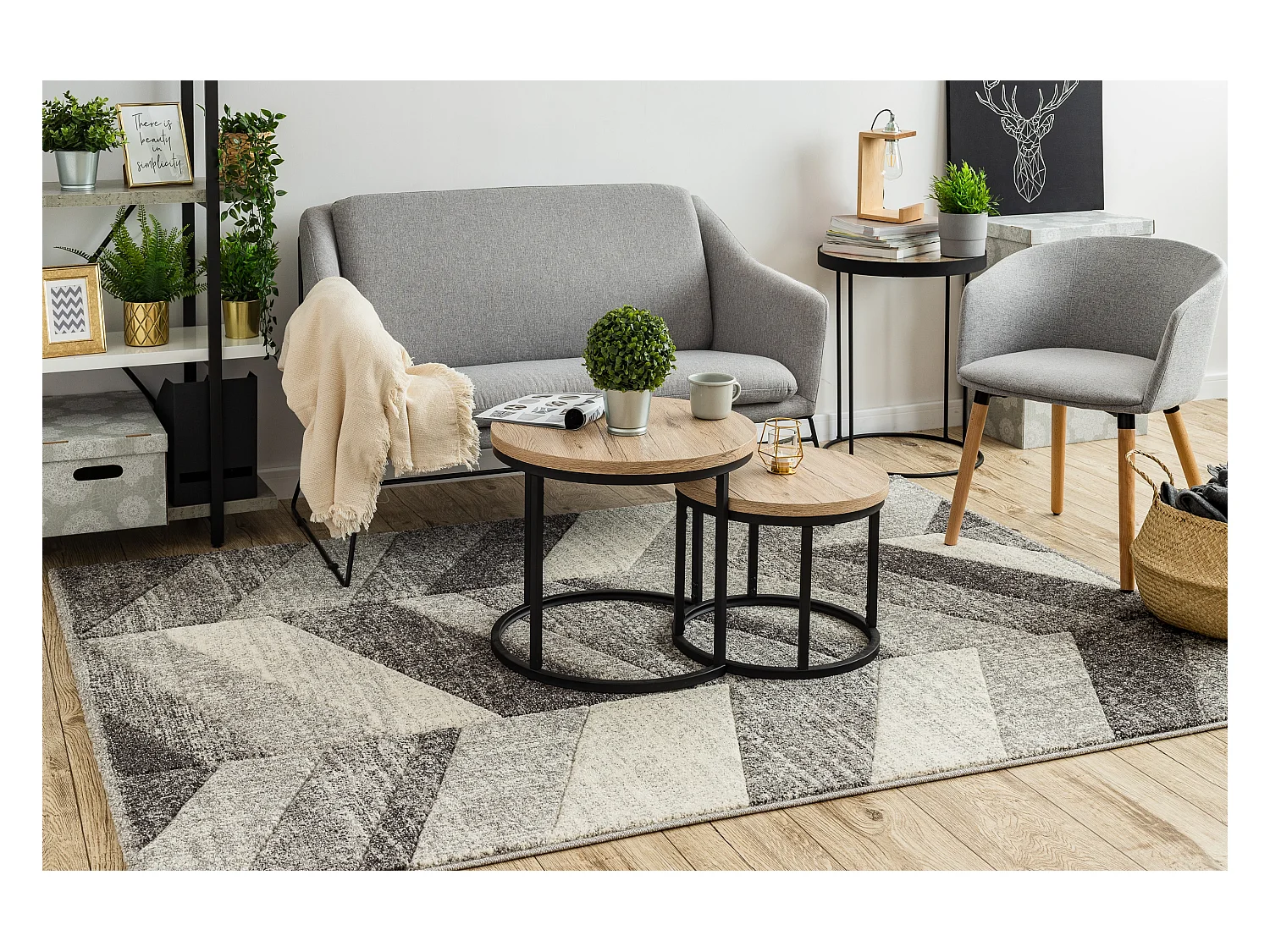 Tapijt FEEL 5673/16811 Zilverspar grijskleuring / anthracytkleuring /  120x170 cm