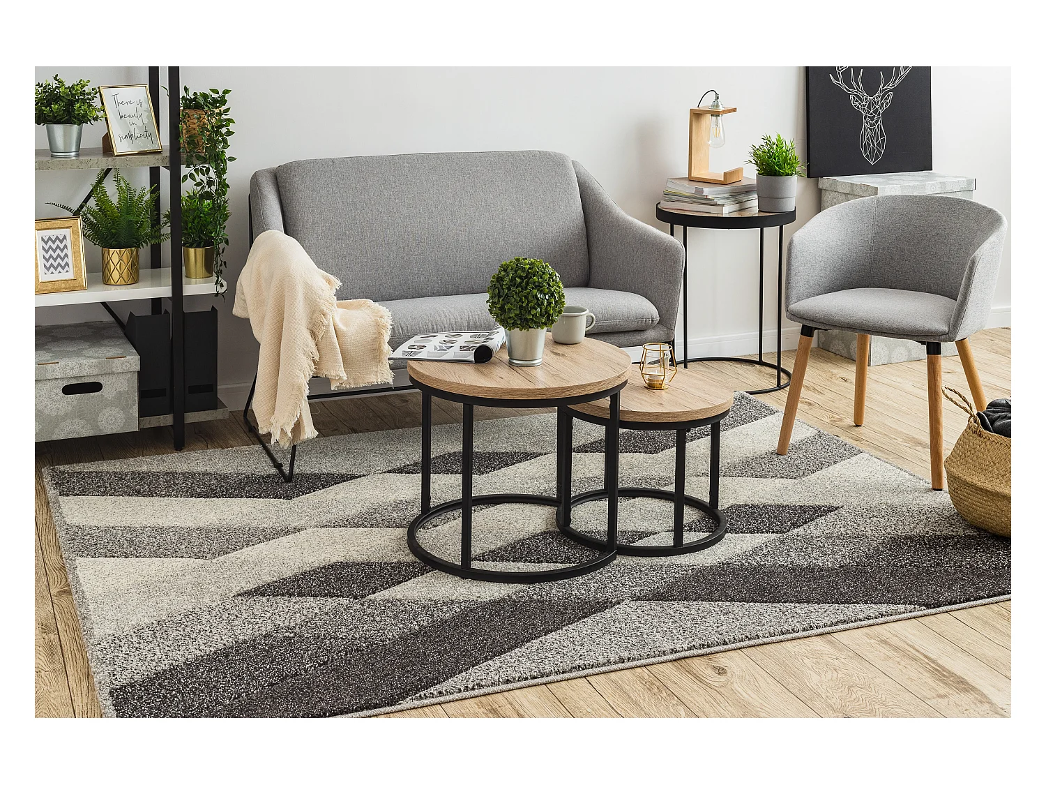 Tapijt FEEL 5674/16811 RUIT , grijskleuring / anthracytkleuring / crè 120x170 cm