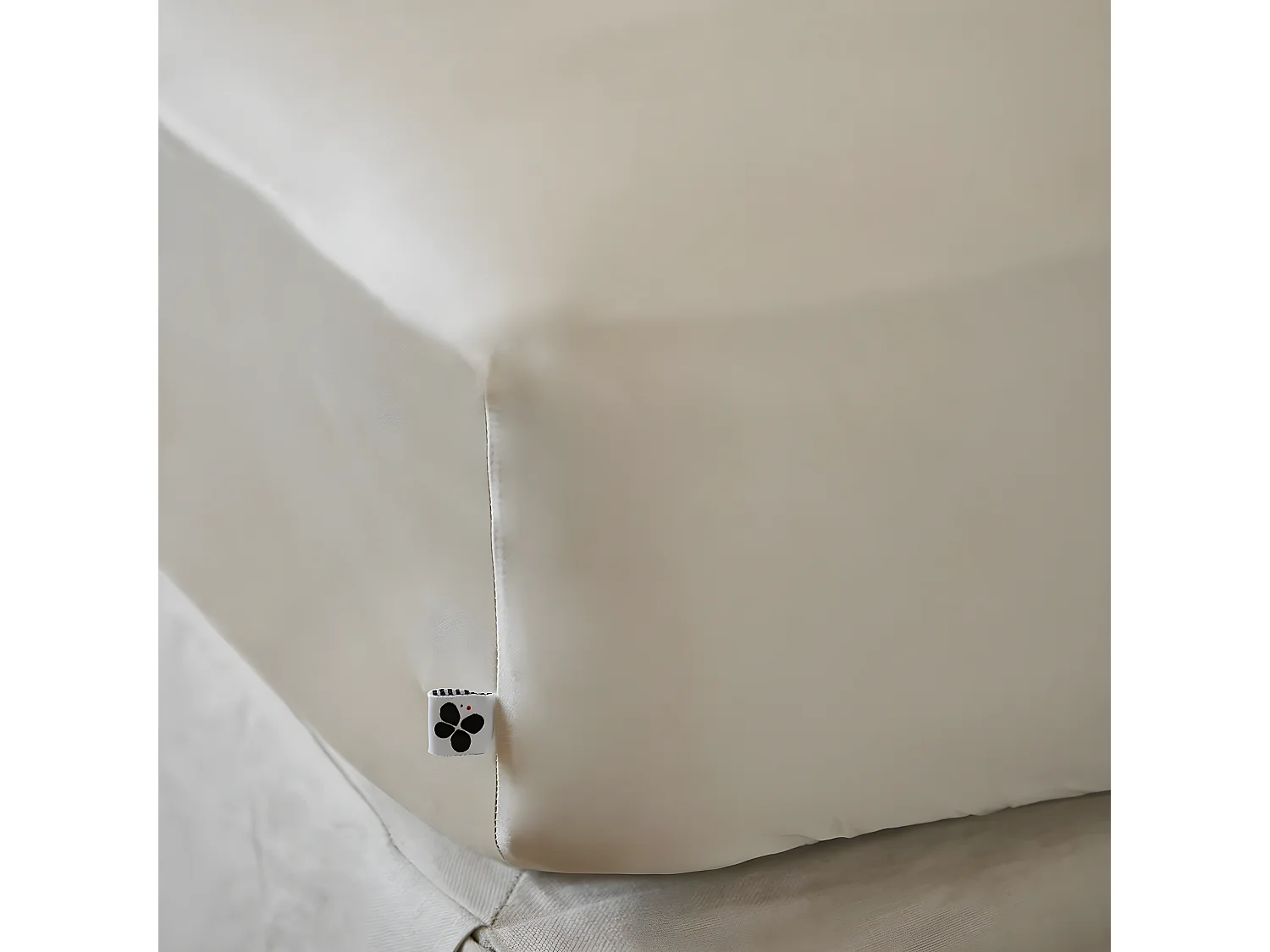 DALIA - Drap Housse 180x200cm 100 % Viscose de Bambou Pampa