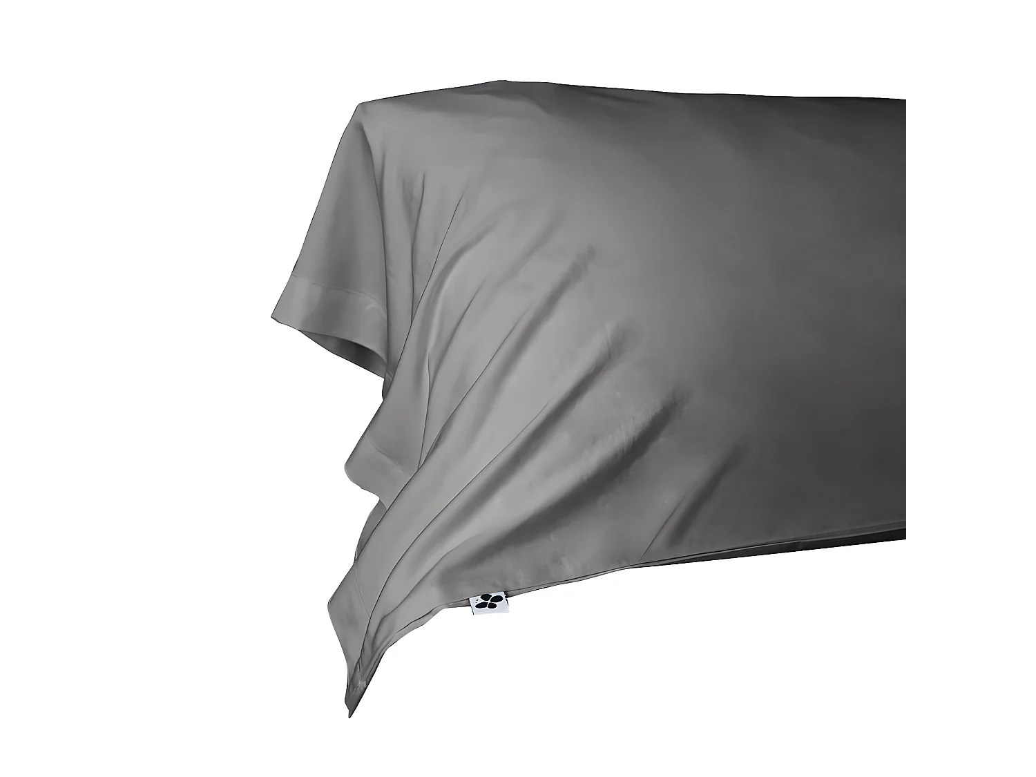 DALIA - Taie de Traversin 43x185cm 100 % Viscose de Bambou Granit