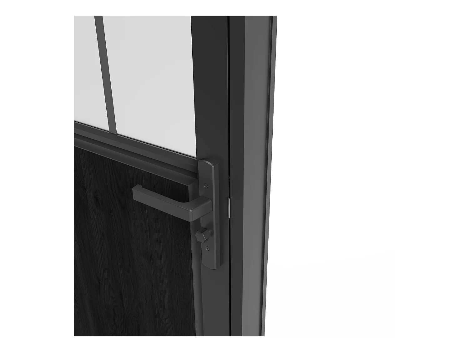 Omkeerbare deur van aluminium en mat gehard glas met werkplaatsstijl - H204 x B83 cm - Zwart - ERMELO