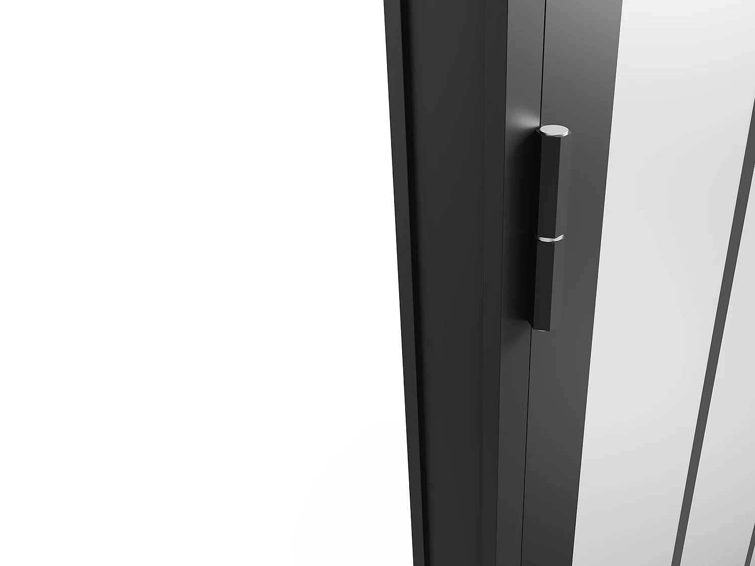 Tür-Set - wendbar - Aluminium & Sicherheitsglas mattiert - Industrial Style - 204 x 93 cm - Schwarz - ERMELO