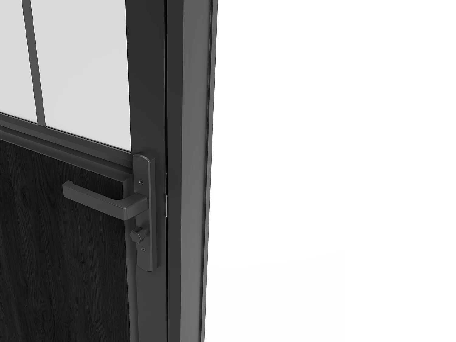 Tür-Set - wendbar - Aluminium & Sicherheitsglas mattiert - Industrial Style - 204 x 93 cm - Schwarz - ERMELO