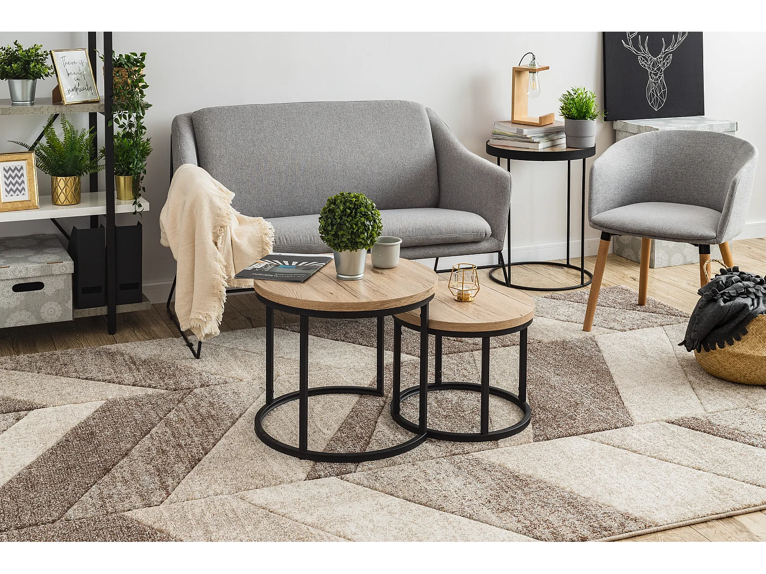 Tapijt FEEL 5673/15055 Zilverspar beige / bruin / crème 80x150 cm